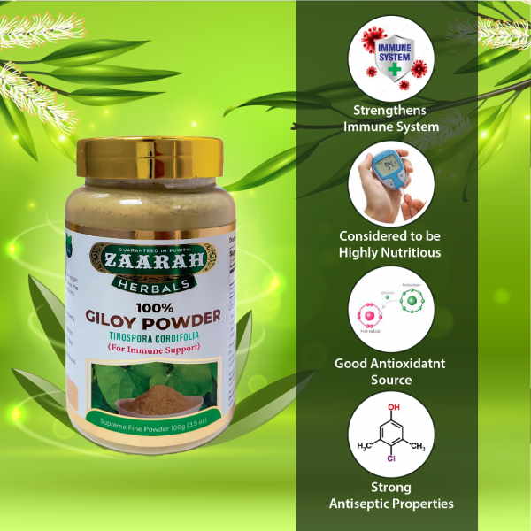 Giloy Powder