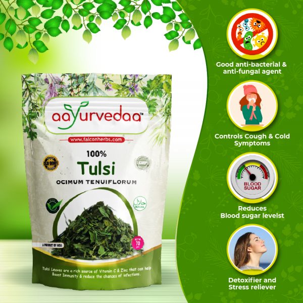 Tulsi Leaves 70gm – Organic herbal immunity booster - Image 2